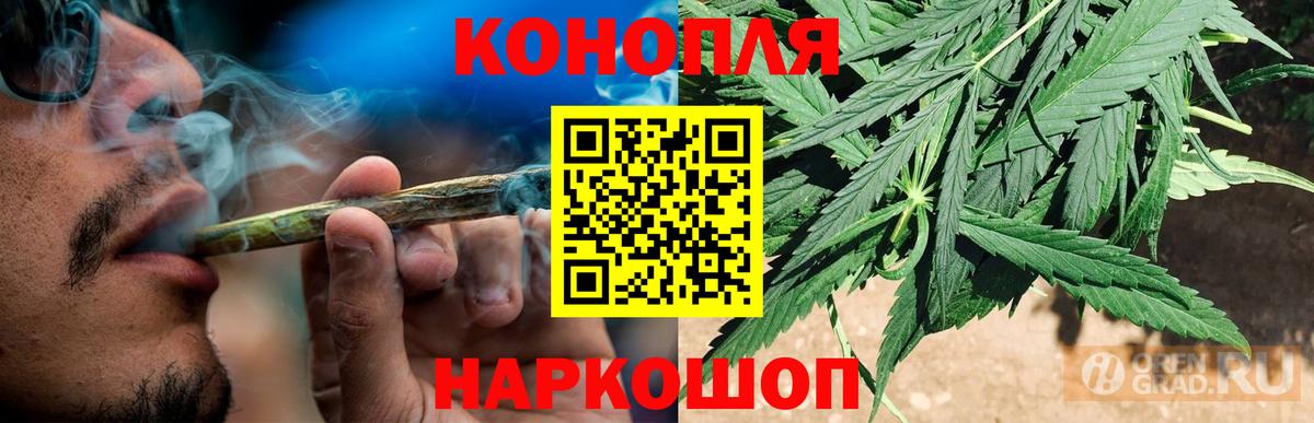 Каннабис AK-47 Нальчик